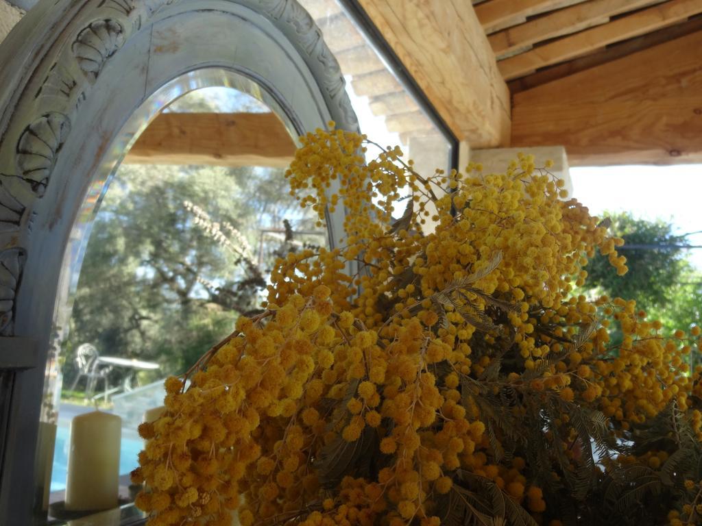 Les 4 Elements Bed & Breakfast Tourrettes-sur-Loup Dış mekan fotoğraf
