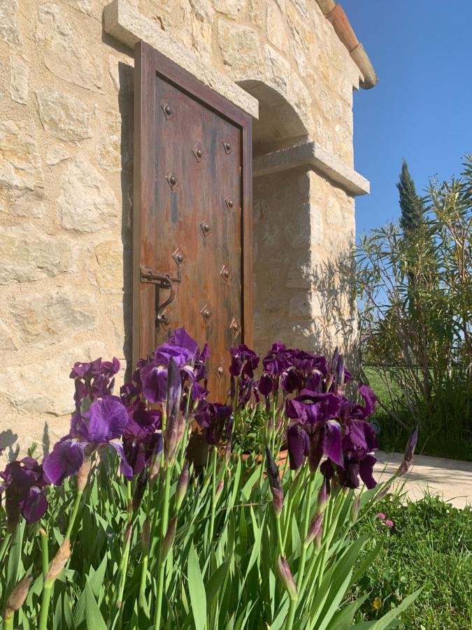 Les 4 Elements Bed & Breakfast Tourrettes-sur-Loup Dış mekan fotoğraf
