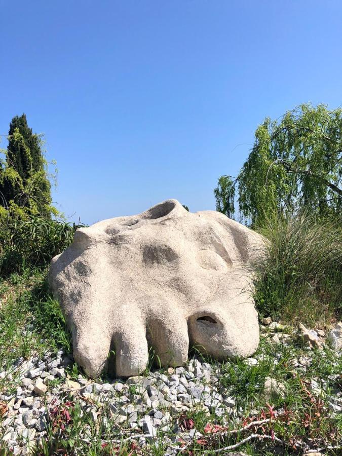 Les 4 Elements Bed & Breakfast Tourrettes-sur-Loup Dış mekan fotoğraf